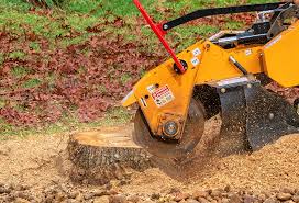 Best Emergency Tree Removal  in Thomaston, GA