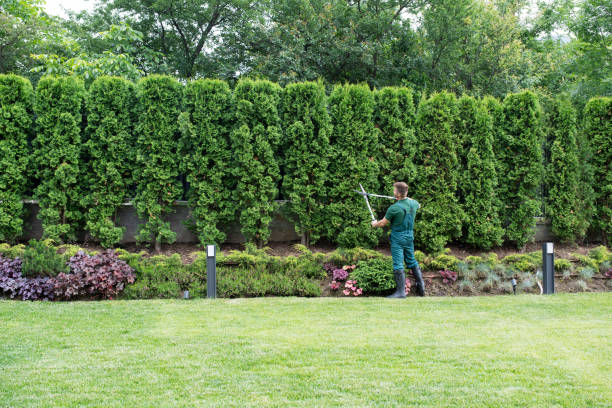 Best Organic Lawn Care Solutions  in Thomaston, GA