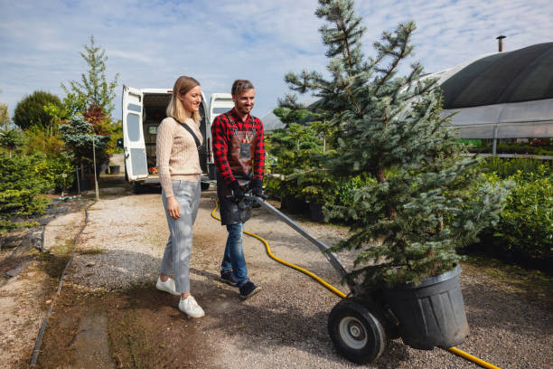 Best Lawn Drainage Solutions  in Thomaston, GA