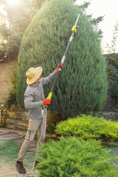 Best Pest Control for Lawns  in Thomaston, GA